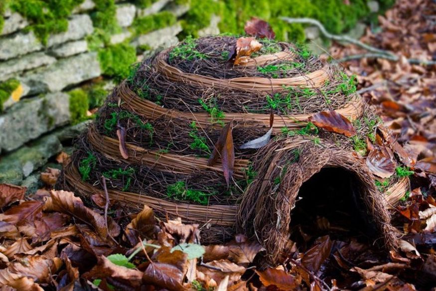 Hedgehog House