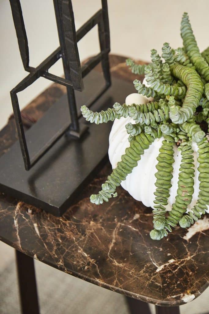 A flexform marble side table with bronzed Salperton Lamp from Porta Romana, complemented by a vibrant green plant in a contrasting white pot.