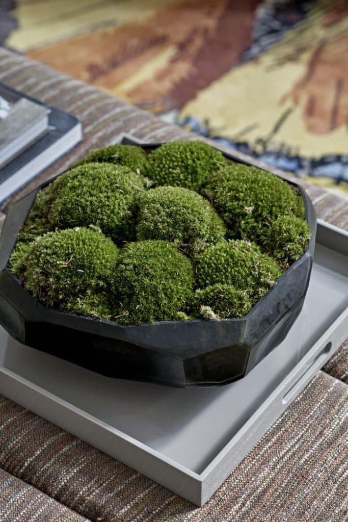 upclose image of delicate clusters of moss in an black ceramic pot, adorned on a grey tray, sitting on an ottoman crafted from brown natural patterned fabric, adding a touch of elegance and sophistication to their setting.