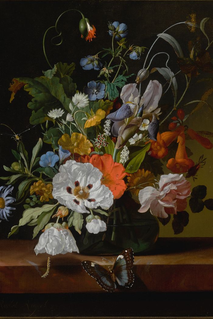 Rachel Ruysch, Still life with flowers in a vase on a ledge with a dragonfly, caterpillar, and butterfly 