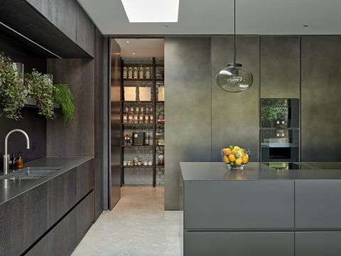 Moody vibe dark coloured open plan kitchen and living with wall in pantry.